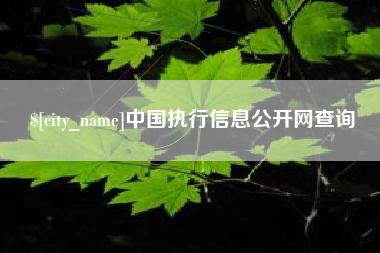 甘孜中国执行信息公开网查询