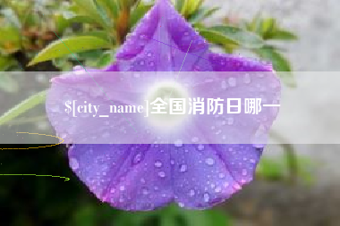 甘孜全国消防日哪一