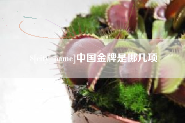甘孜中国金牌是哪几项
