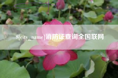 甘孜消防证查询全国联网