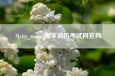 甘孜国家消防考试网官网