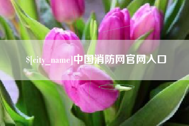 甘孜中国消防网官网入口