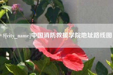 甘孜中国消防救援学院地址路线图