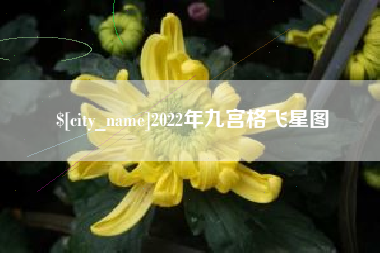 甘孜2022年九宫格飞星图