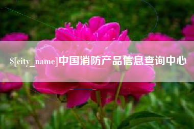 甘孜中国消防产品信息查询中心