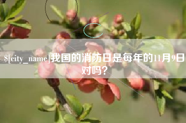 甘孜我国的消防日是每年的11月9日对吗？