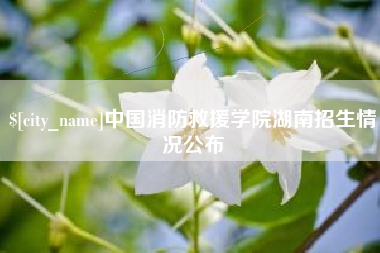 甘孜中国消防救援学院湖南招生情况公布