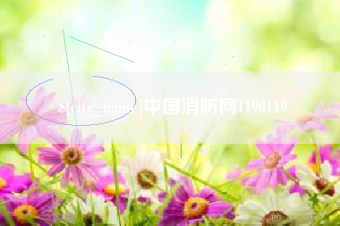 甘孜中国消防网1190119