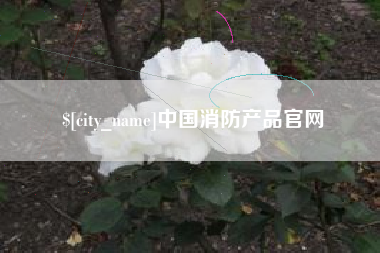 甘孜中国消防产品官网