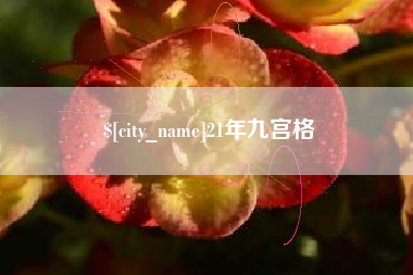 甘孜21年九宫格