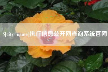 甘孜执行信息公开网查询系统官网