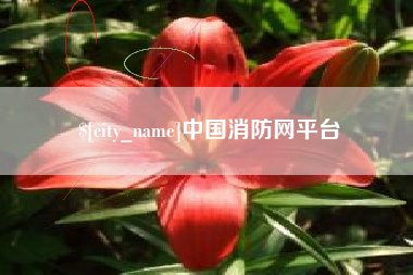 甘孜中国消防网平台