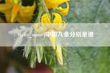 甘孜中国九金分别是谁