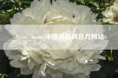 甘孜中国消防网官方网站