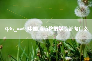 甘孜中国消防救援学院都考什么