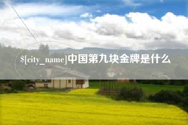 甘孜中国第九块金牌是什么