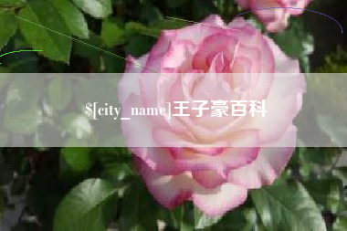 甘孜王子豪百科