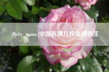 甘孜中国有哪几枚金牌得主