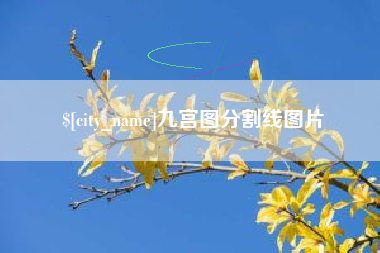 甘孜九宫图分割线图片