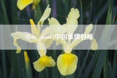 甘孜中国金牌包括