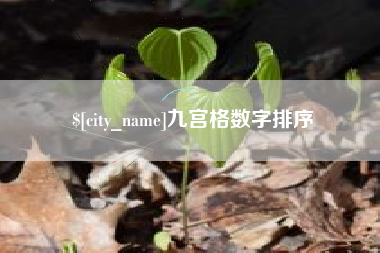 甘孜九宫格数字排序