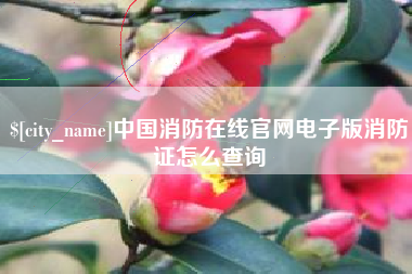 甘孜中国消防在线官网电子版消防证怎么查询