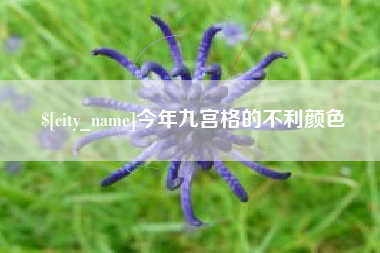 甘孜今年九宫格的不利颜色