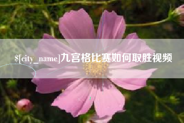 甘孜九宫格比赛如何取胜视频