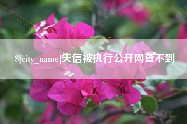 甘孜失信被执行公开网查不到
