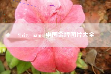甘孜中国金牌图片大全