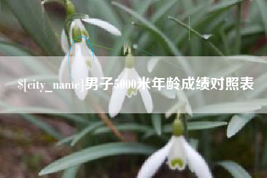 甘孜男子5000米年龄成绩对照表