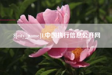甘孜1.中国执行信息公开网