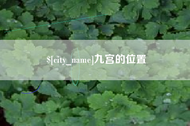 甘孜九宫的位置