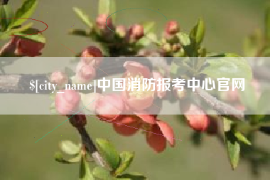 甘孜中国消防报考中心官网