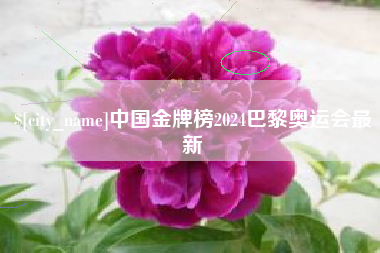 甘孜中国金牌榜2024巴黎奥运会最新