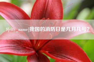甘孜我国的消防日是几月几号？