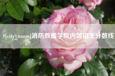 甘孜消防救援学院内部招生分数线