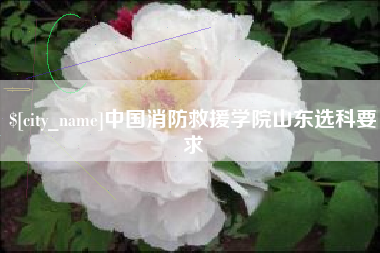 甘孜中国消防救援学院山东选科要求