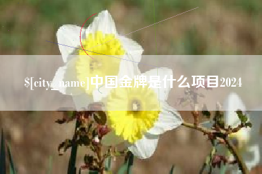 甘孜中国金牌是什么项目2024