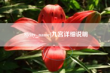 甘孜九宫详细说明