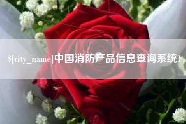 甘孜中国消防产品信息查询系统1