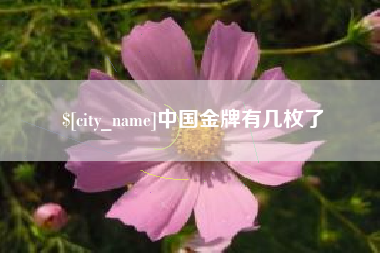 甘孜中国金牌有几枚了