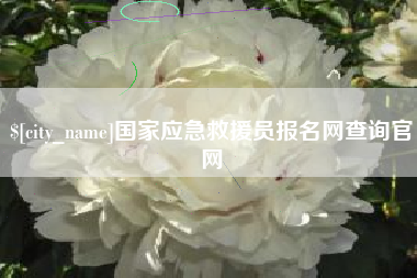 甘孜国家应急救援员报名网查询官网