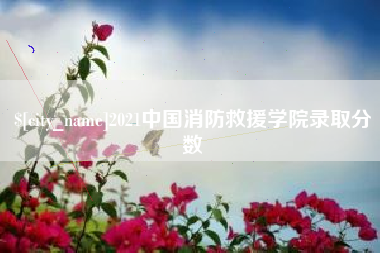 甘孜2021中国消防救援学院录取分数