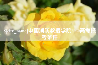甘孜中国消防救援学院2020高考报考条件