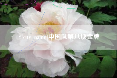 甘孜中国队第八块金牌