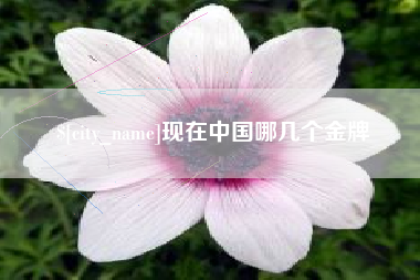 甘孜现在中国哪几个金牌