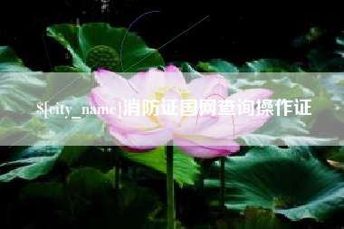 甘孜消防证国网查询操作证