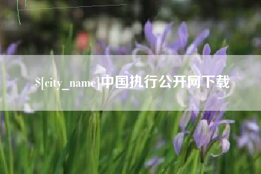 甘孜中国执行公开网下载