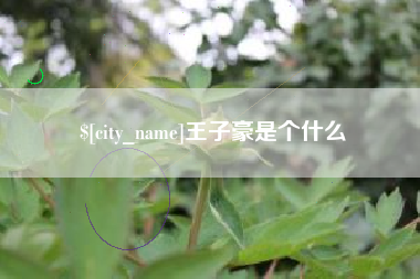 甘孜王子豪是个什么
